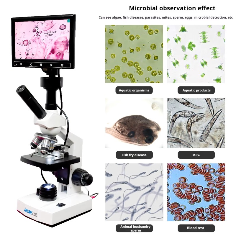 HD Ekranlı Dijital Mikroskop B - Medical Lab Microscope incelemesi ve fiyatı
