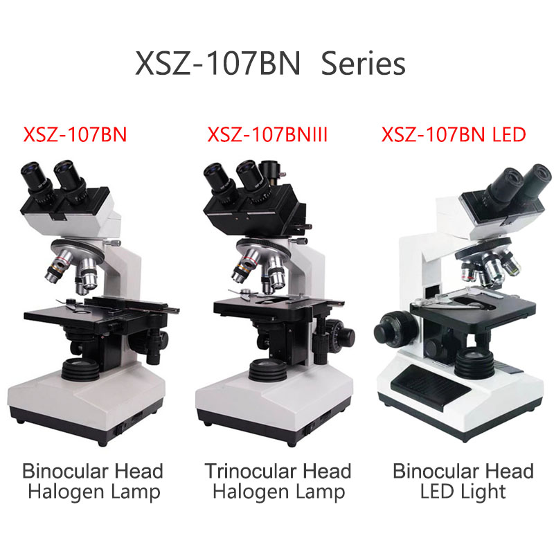 Xsz-107bn Elektron Laboratuvar - Medical Lab Microscope incelemesi ve fiyatı