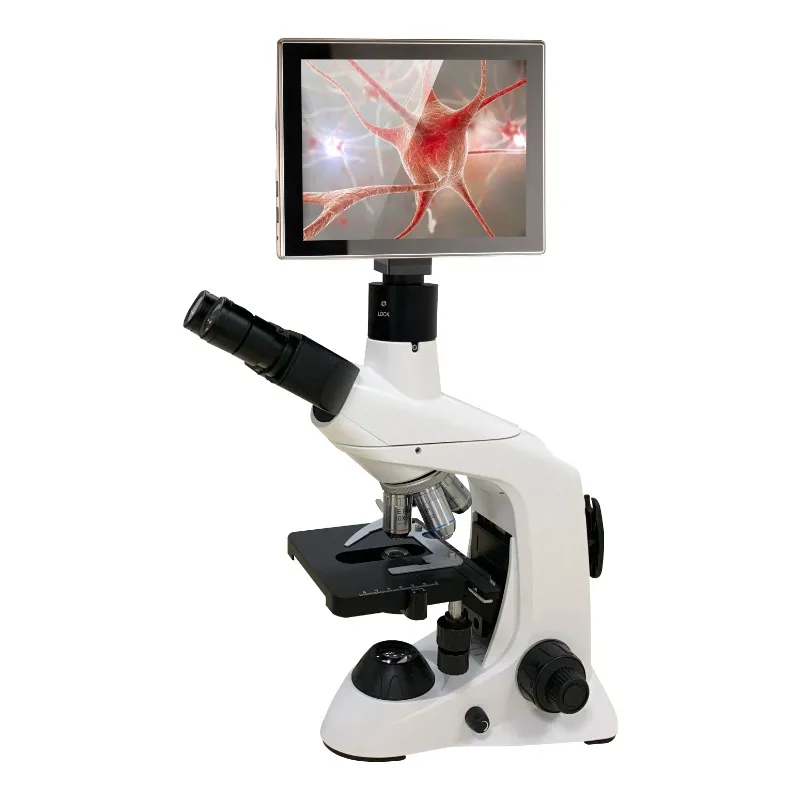 2026 Yeni Paslanmaz Çelik Tıbb - Medical Lab Microscope incelemesi ve fiyatı