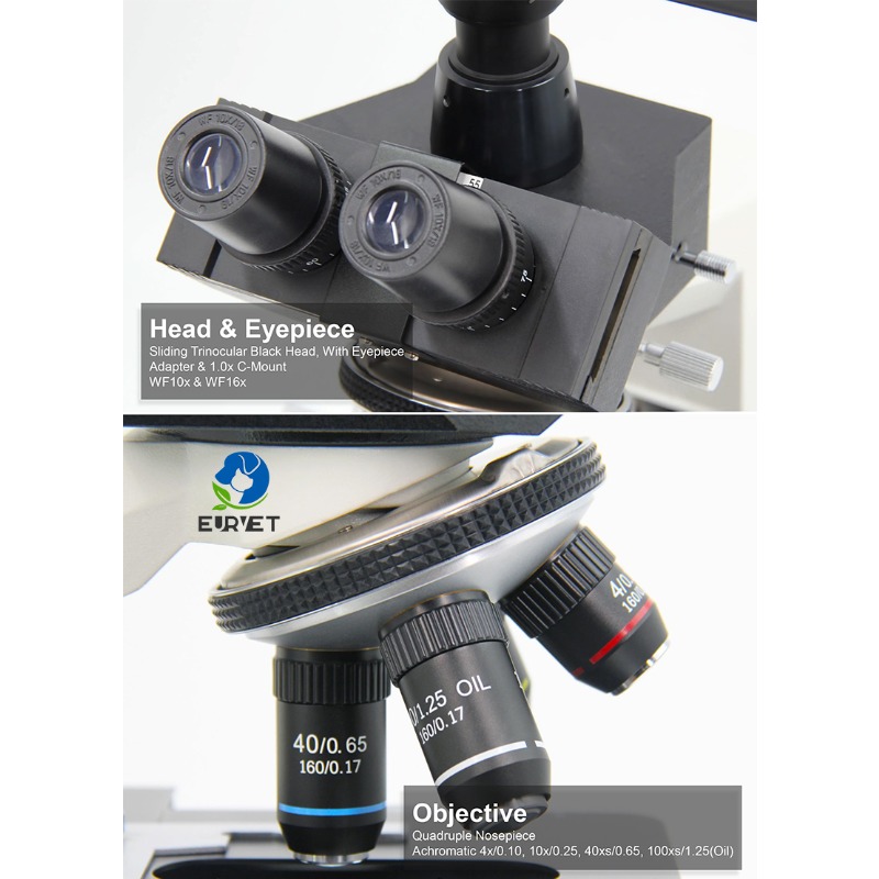 2026 Tıbbi Laboratuvar Dijital - Medical Lab Microscope incelemesi ve fiyatı